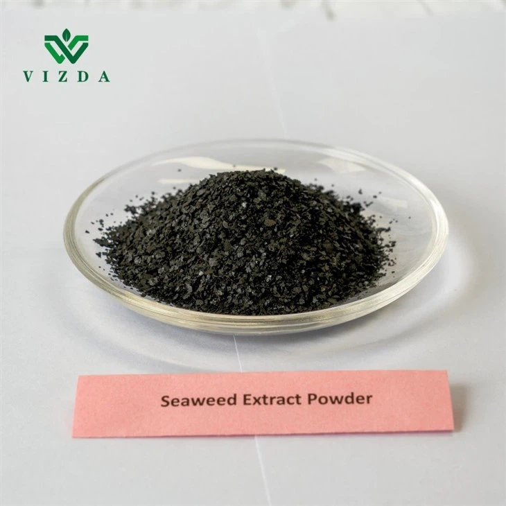 Crop-Enhancing Seaweed Extract